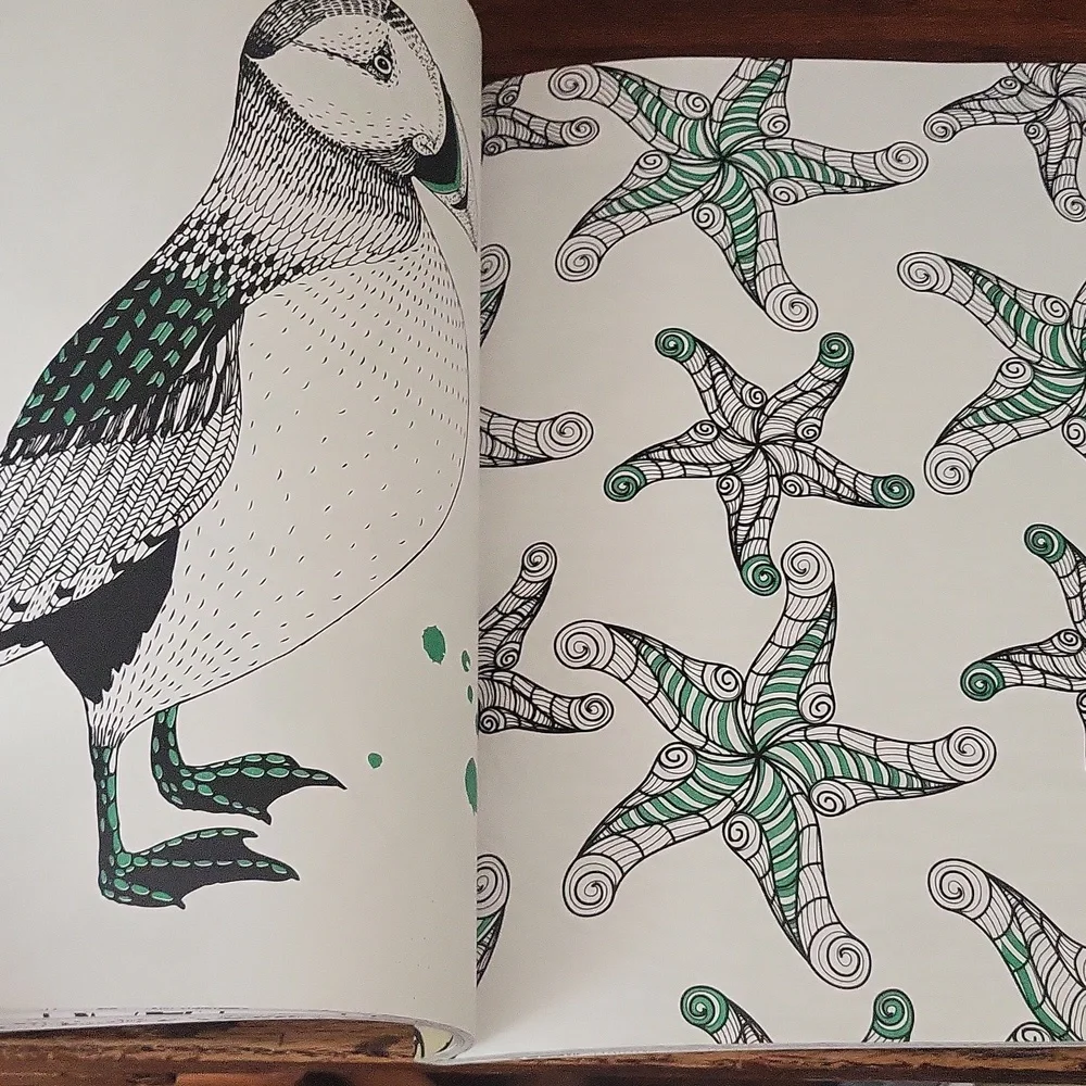NWT Adult Coloring Book